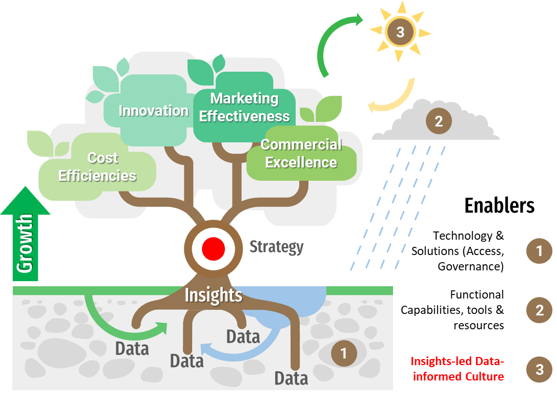 A tree connecting data at its roots to insights, strategy and growth in cost efficiencies, innovation, marketing effectiveness and commercial excellence. Technology, process and people enable the system.